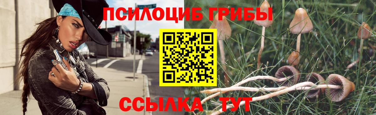 Галлюциногенные грибы GOLDEN TEACHER Краснознаменск